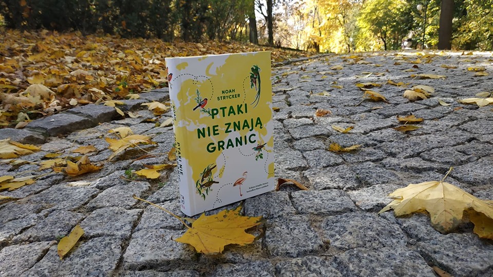 Ptaki nie znają granic