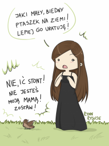 Co zrobić gdy znajdę małego ptaka