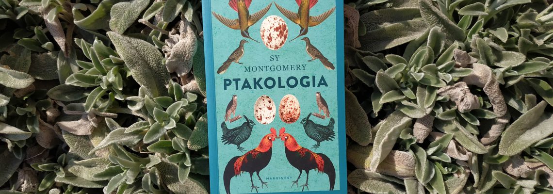 Sy Montgomery Ptakologia
