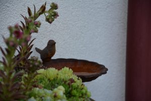 Budka dla jerzyka na balkon