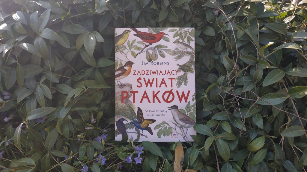 Zadziwiający świat ptaków