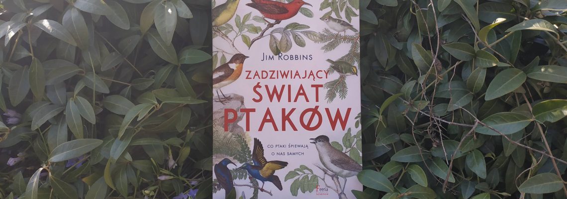 Zadziwiający świat ptaków