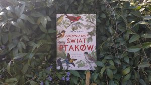 Zadziwiający świat ptaków