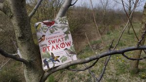 Zadziwiający świat ptaków Ptasi Dom